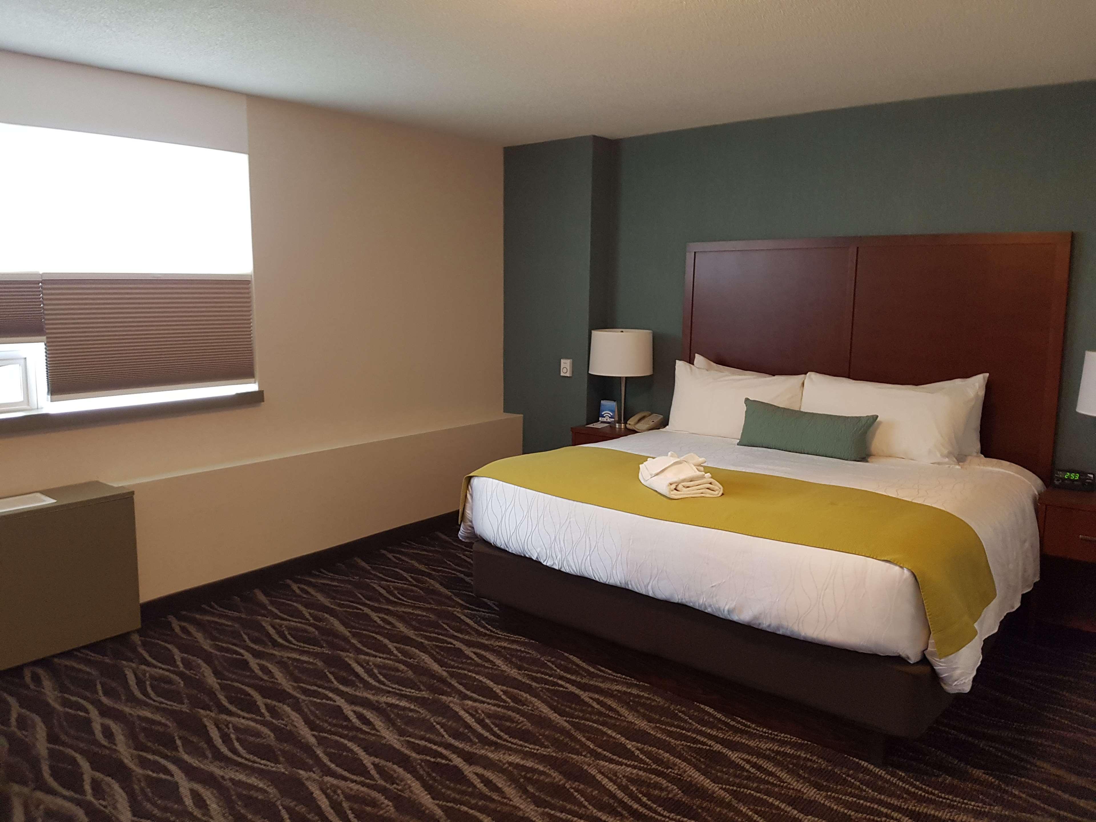 Best Western Plus Durham Hotel & Conference Centre Oshawa Exterior photo